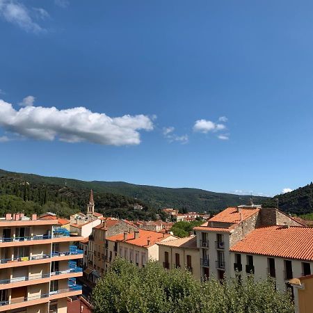 Hotel Des Bains Et Des Gorges Amelie-les-Bains-Palalda Bagian luar foto